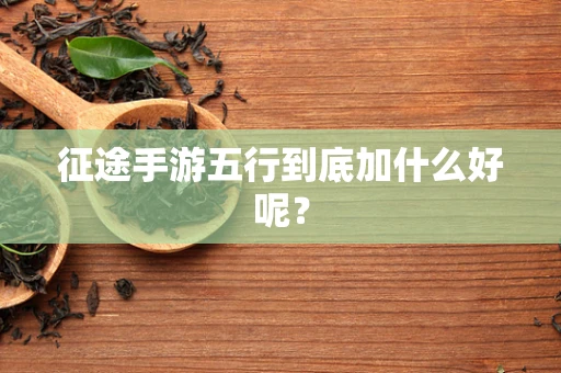 征途手游五行到底加什么好呢？