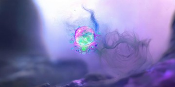FGO手游熟练度究竟指什么？